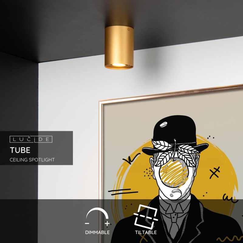 Lucide TUBE - Stropné bodové svietidlo - Ø 9,6 cm - 1xGU10 - matné zlato / mosadz